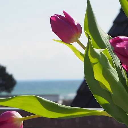 Apartment Haus Jutta - 7 *